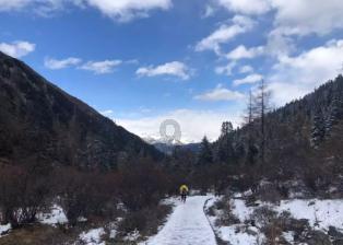 现在初三英语110考66语文120考70化学50考25数学130考65物理80考39我该怎么弄啊？游戏画面
