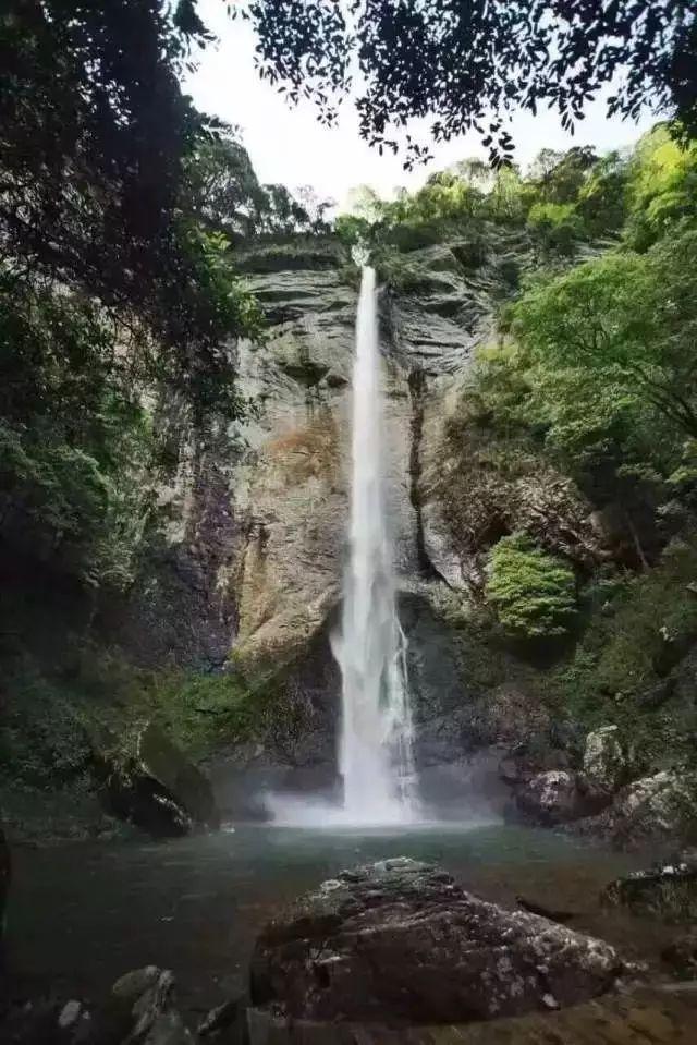 白萝卜怎样做才好吃呢!煮.炒,还是凉拌呢?- 专业的问答类网站