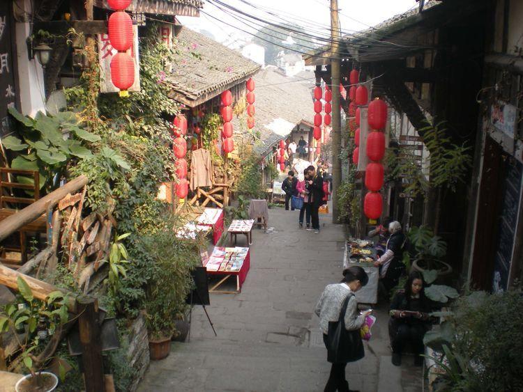 逃离森林边缘
